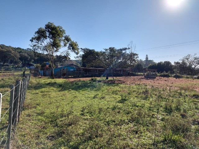 Velleda oferece 4 hectares c/ campo ideal para cavalos ou ovelhas, luz CEEE - Foto 12