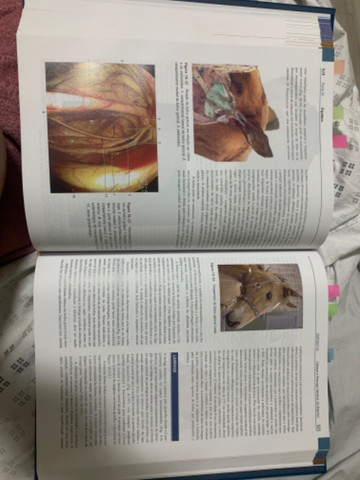 Tratado de anatomia veterinária DYCE 4ª edição - Foto 4
