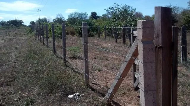 Particular Fazenda R$3.750 /ha frente BR135 Monte Alegre Piauí, Pecuária 2.675 HA - Foto 3