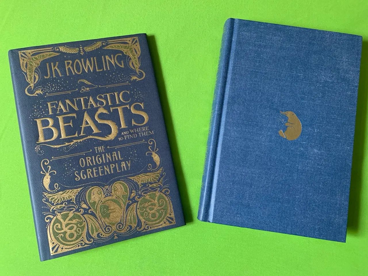 Livro Animais Fantásticos e Onde Habitam Importado EUA - Foto 3