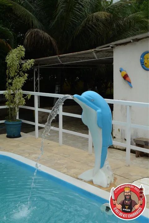 Chácara com piscina e campo de futebol - Foto 4