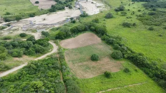 fazenda com 300 hectares na região de Ielmo marinho