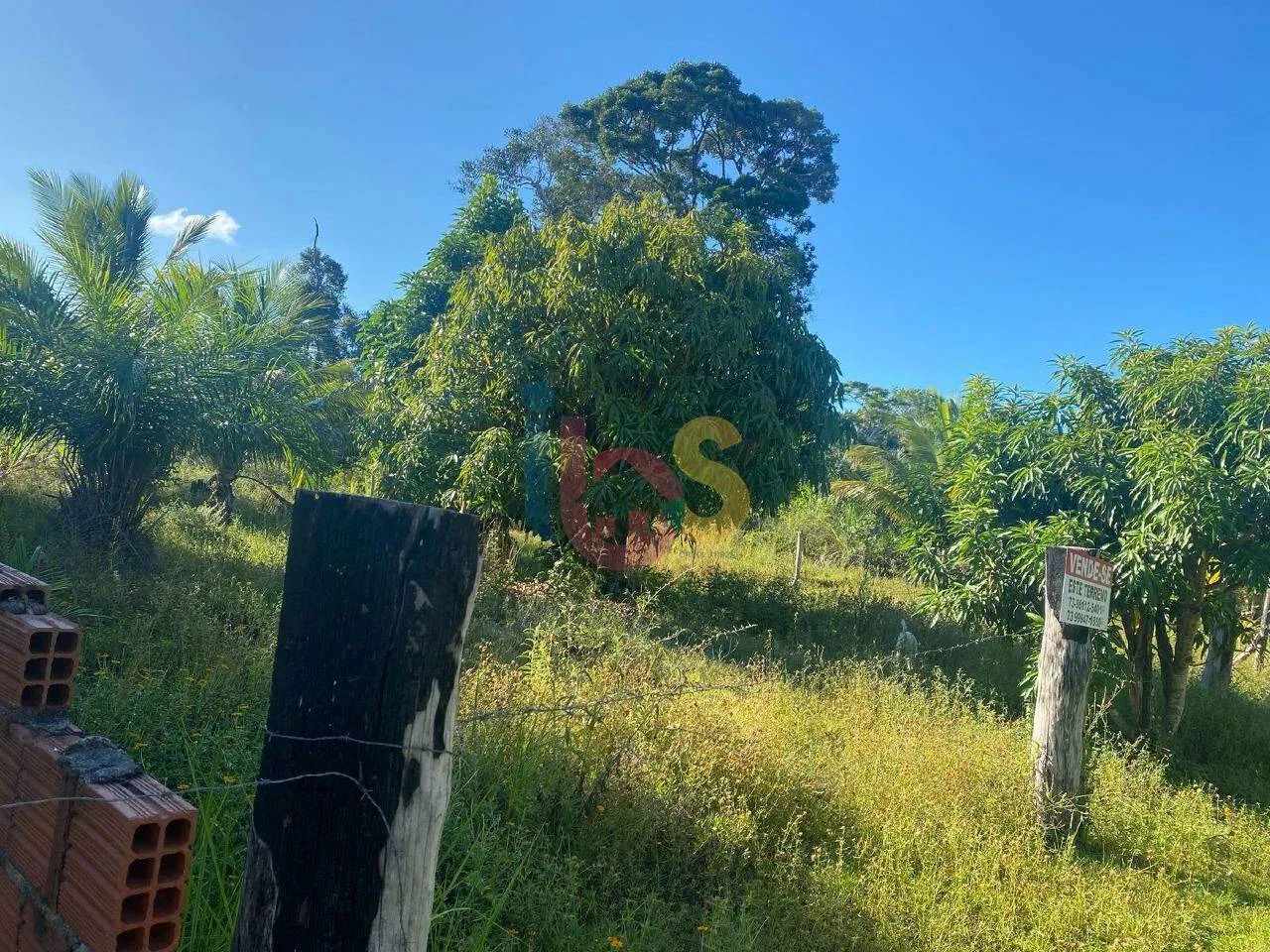 Vendo Lote na Zona Norte em Ilhéus - Foto 2