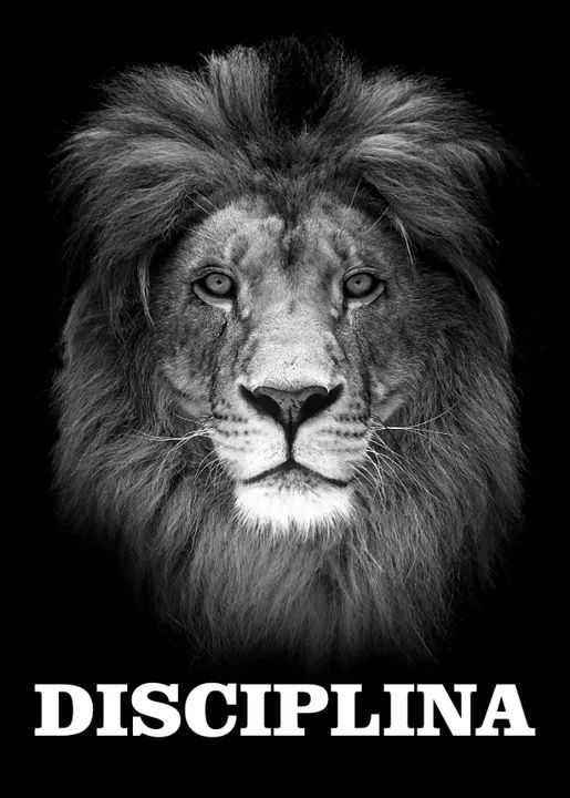 3 quadros motivação com vidro  - Foto 5