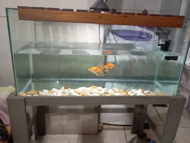 VENDO AQUARIO 150 LT