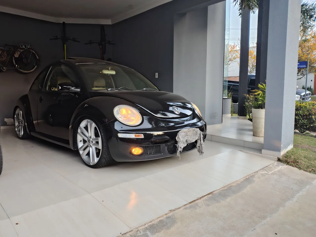 New beetle