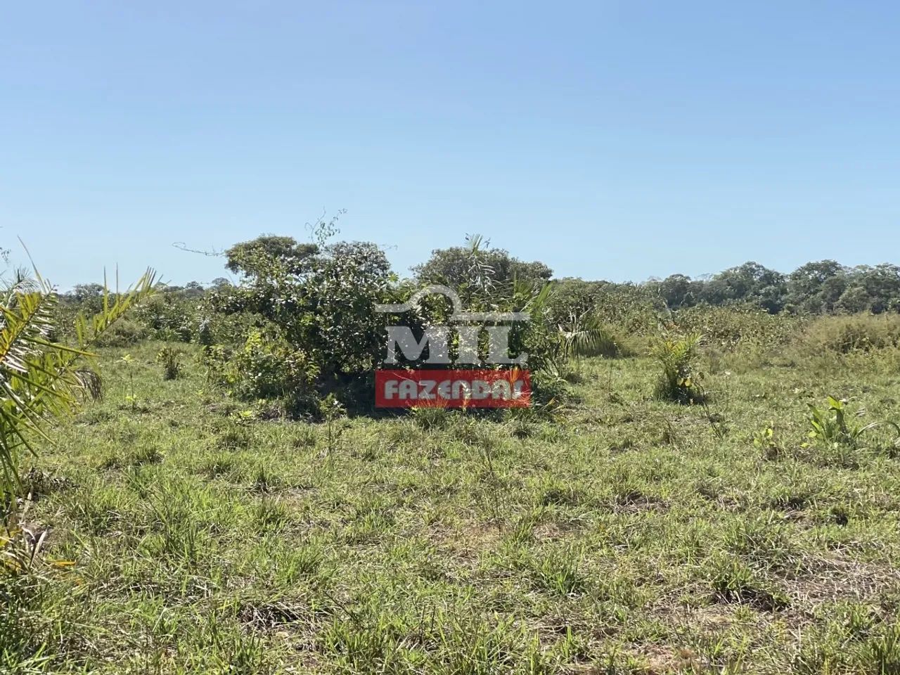 Fazenda de 1300 alqueires (6.292 hectares) no Cocalinho - Mato Grosso - Foto 4