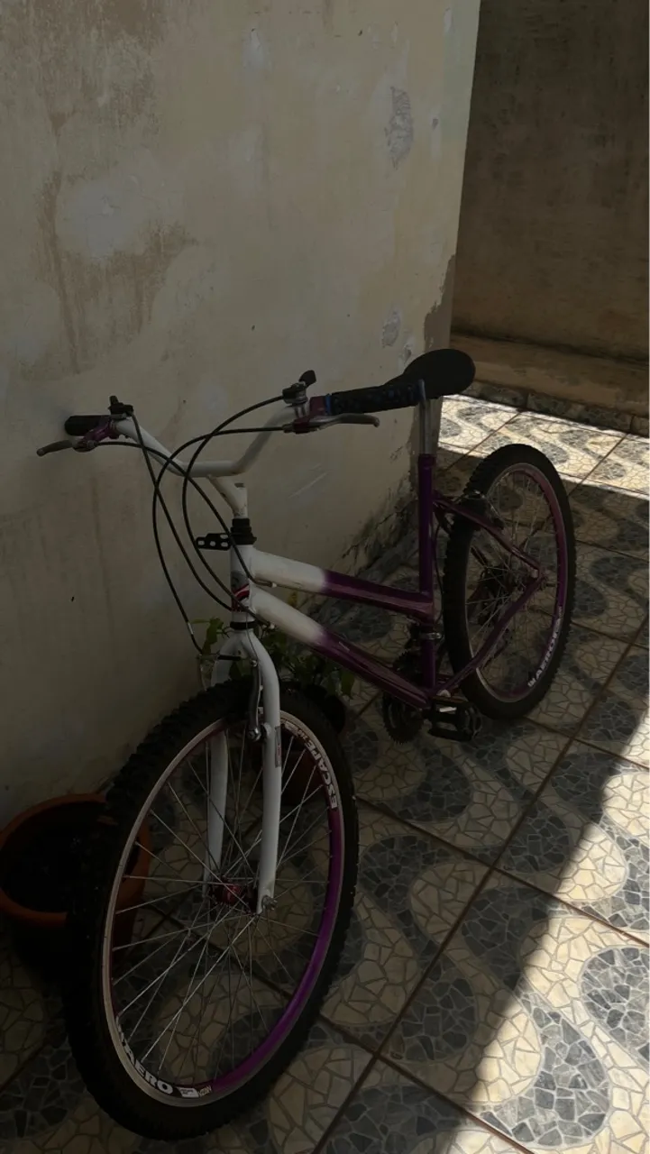 Bicicleta Aro 16