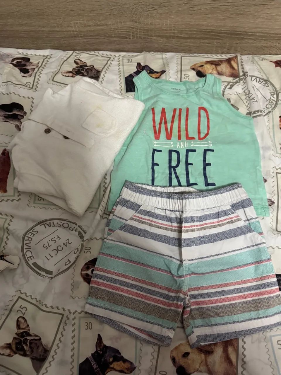 Conjunto Carter's - Wild and Free