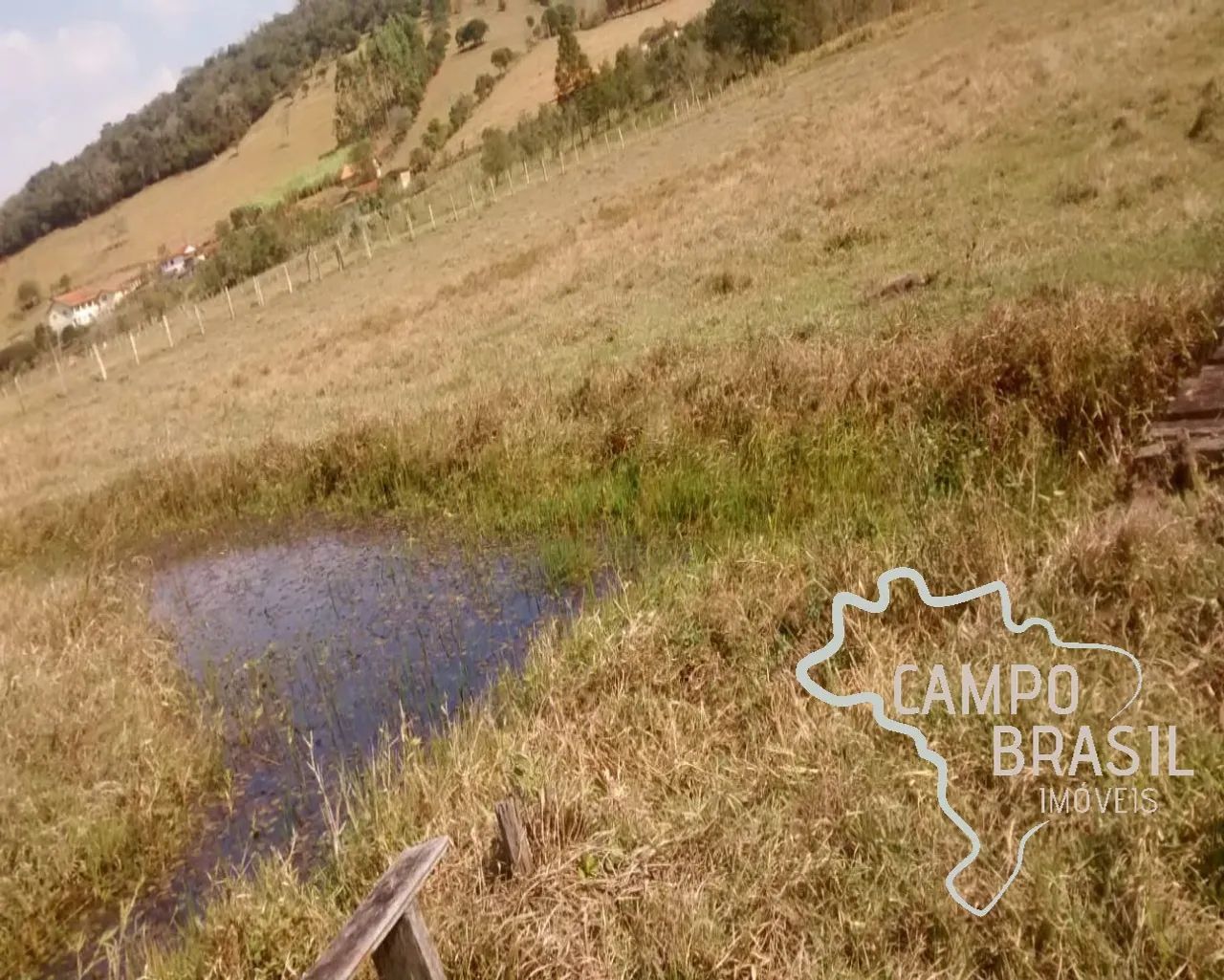 SÍTIO 32.000M² EM PARAISÓPOLIS - MG ! - Foto 3