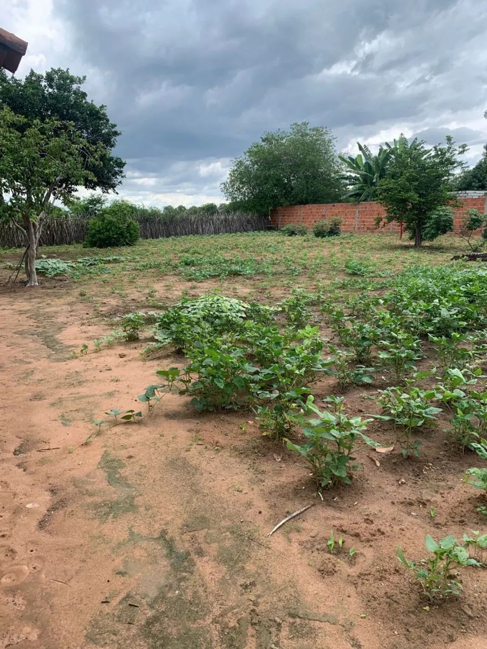 Casas localizadas no Sítio Ramalhete próximo a Araripina-PE  - Foto 3