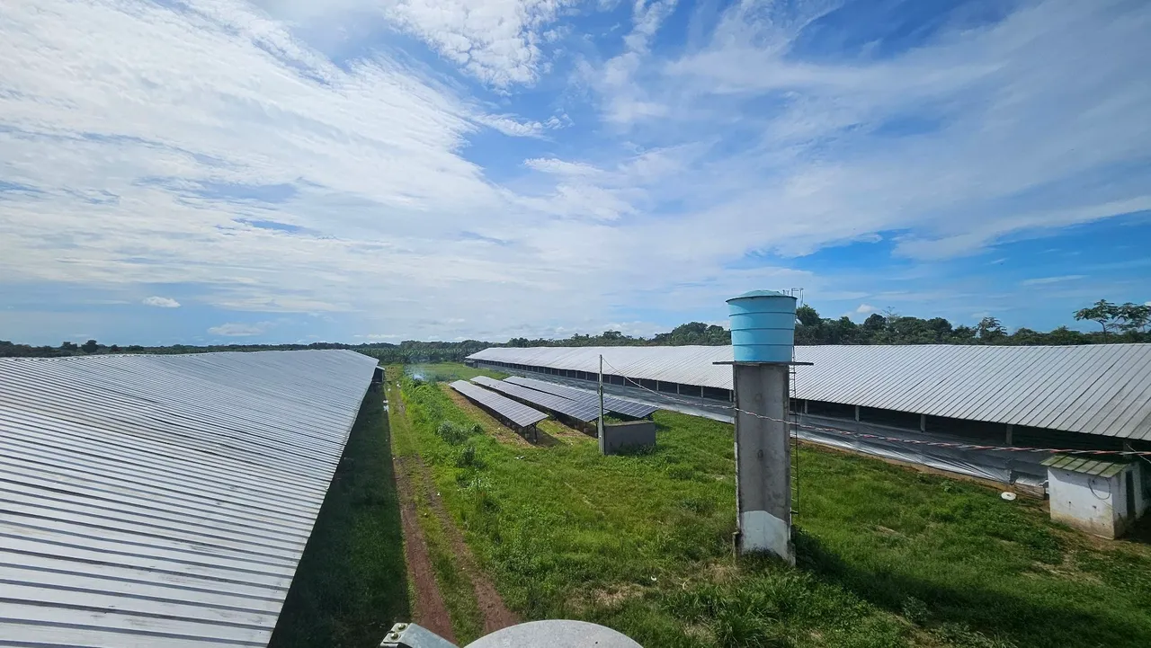 Galpão para criação de aves com energia solar