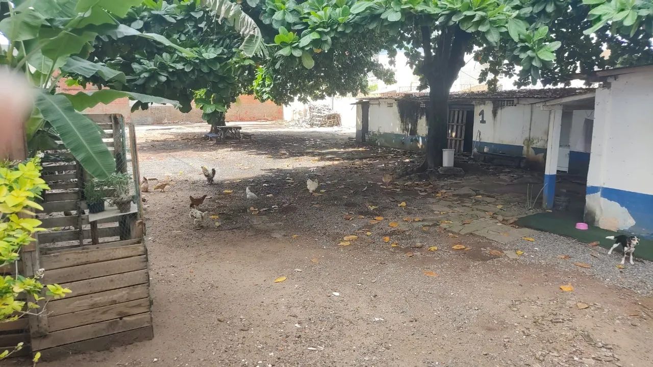 Terreno Padrão, Armação - Foto 13