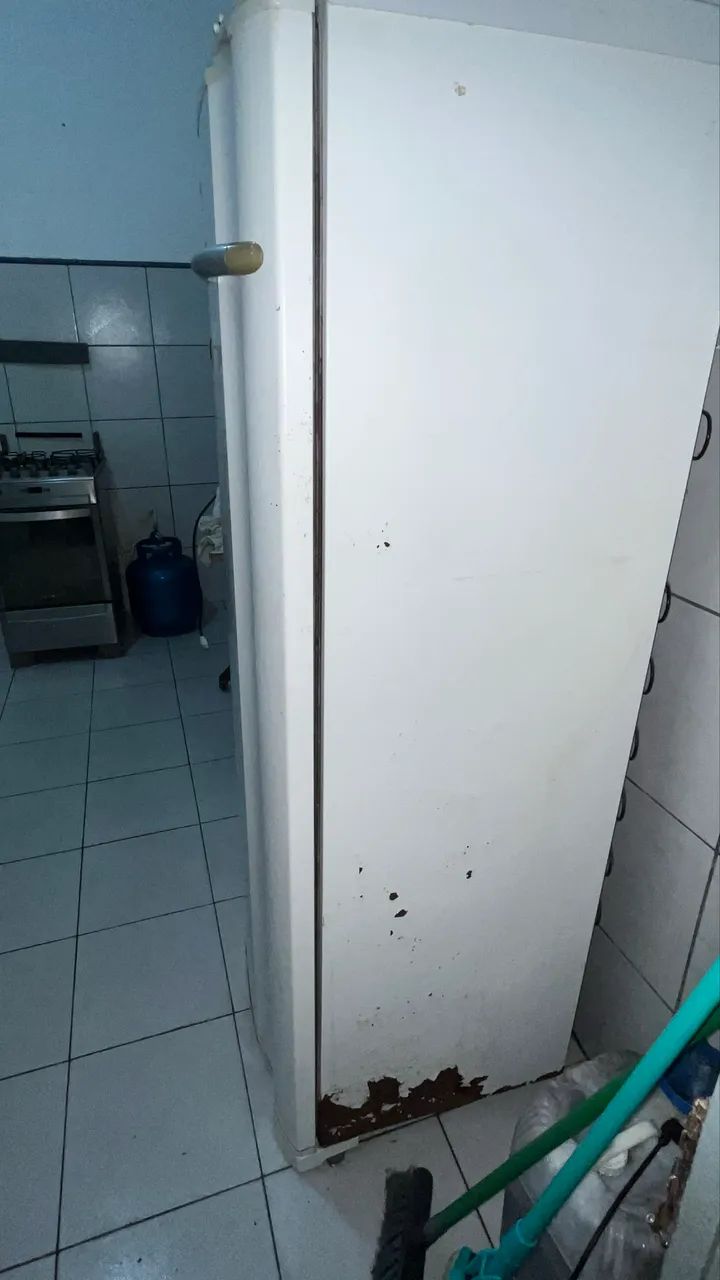 Freezer64317618686595121