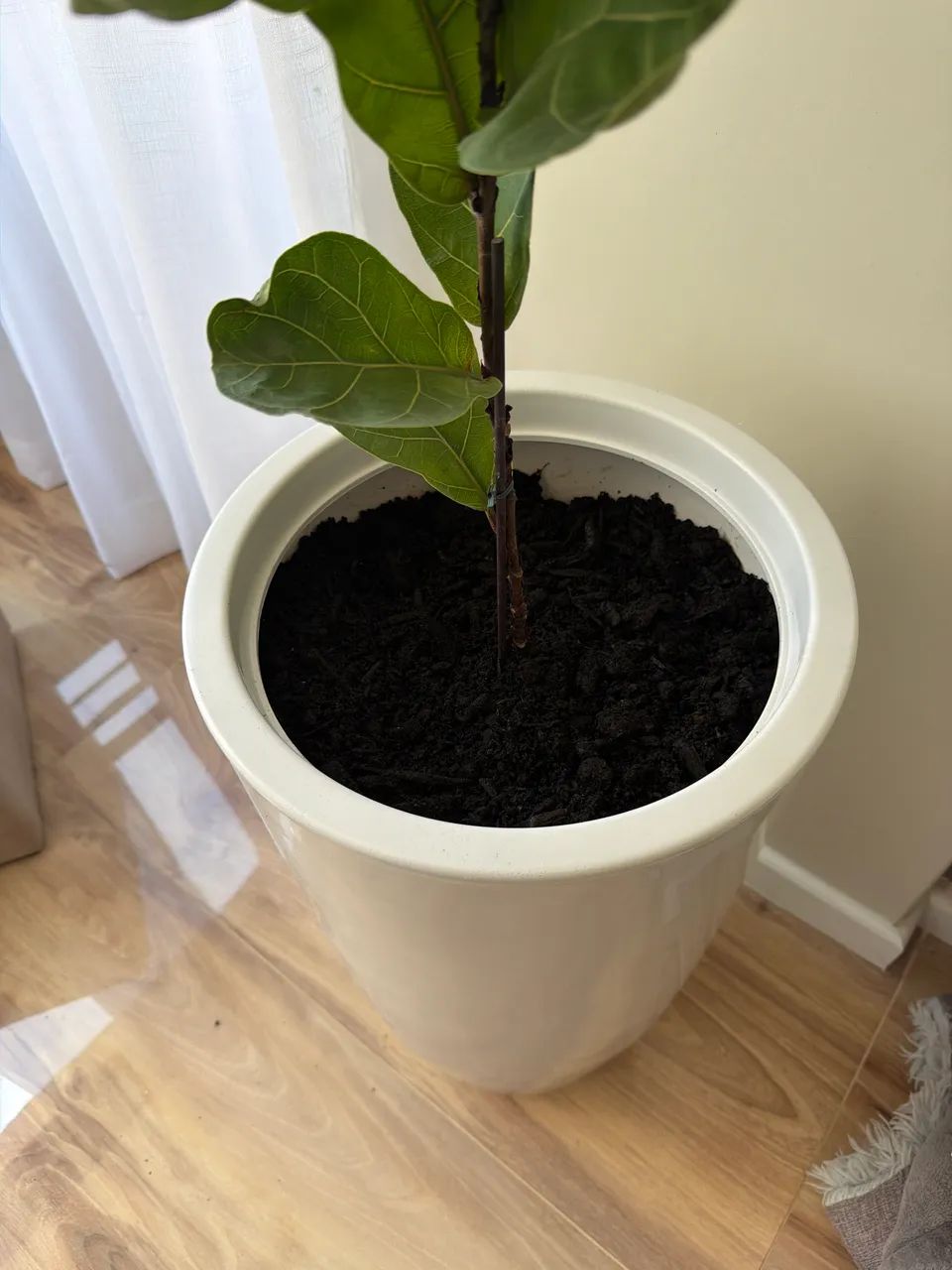 Vaso de planta - Foto 3