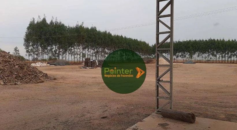 Fazenda à venda, 146670 m² por R$ 1.200.000.000,00 - Zona Rural - Nova Ubiratã/MT - Foto 3