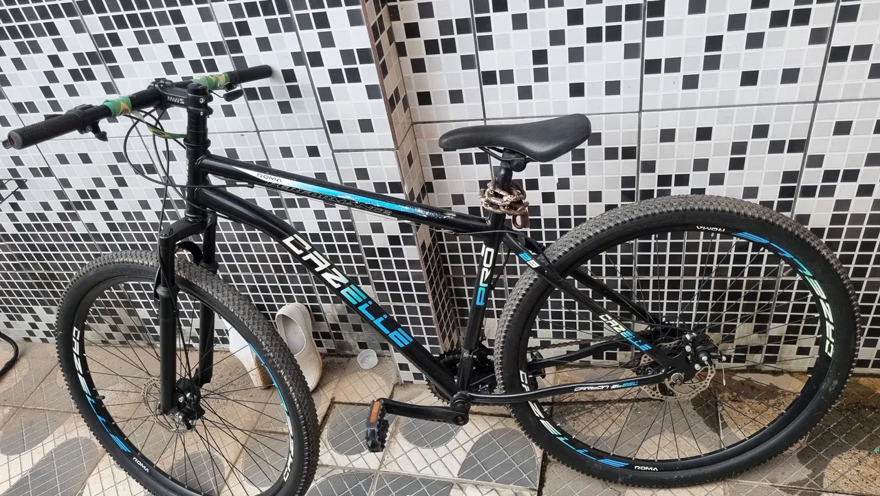 Bicicleta Gazelle Roma - Aro 29