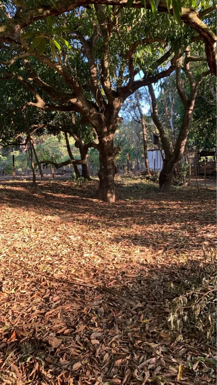 Chácara - Hidrolândia