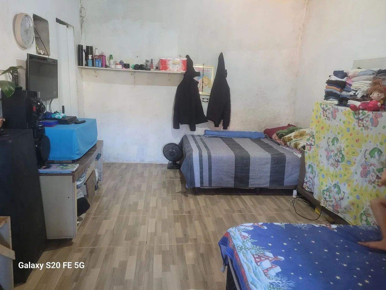 Foto - Francisco Morato - Jardim Olga