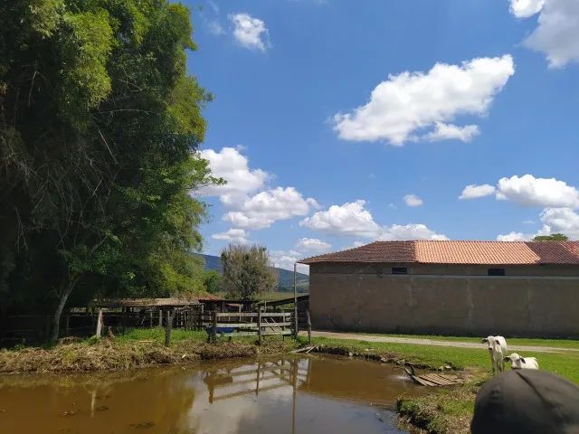 Fazenda as Margens da BR 381
