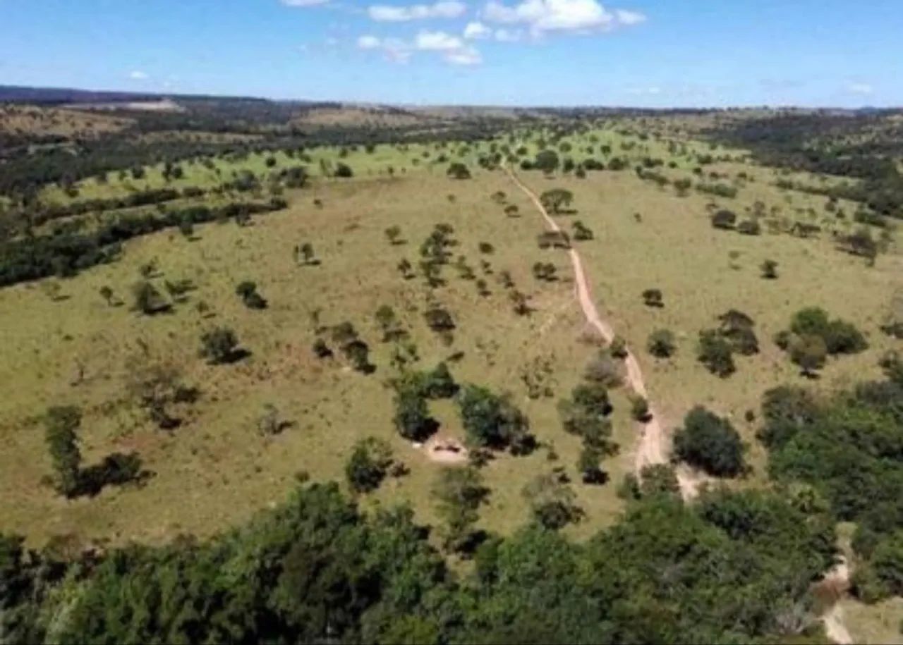 Fazenda dupla aptidão catalão Goiás  - Foto 2