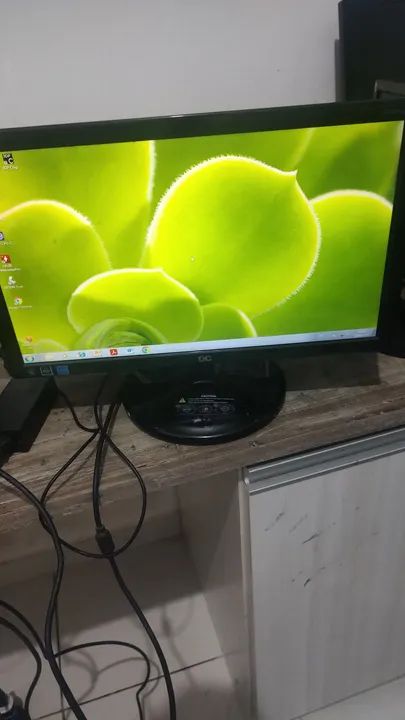 Monitor LCD 18.5 polegadas