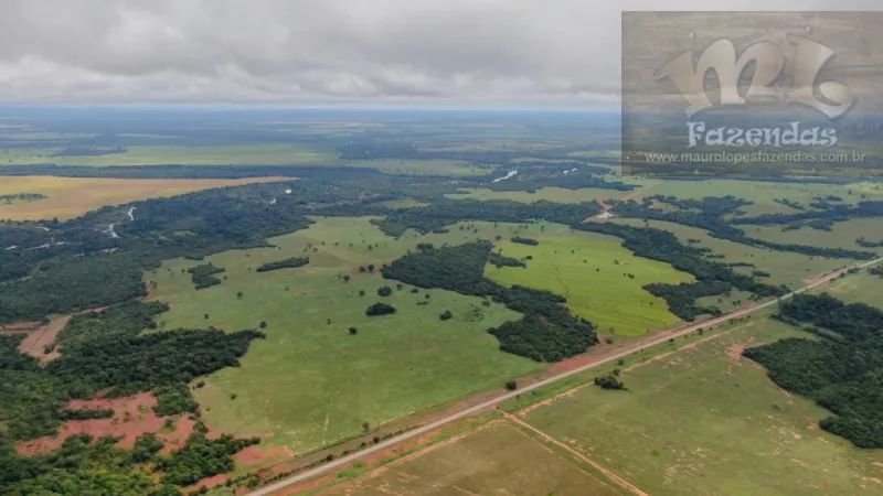 FAZ 374 - Fazenda na Região de Gurupi  Sul do Tocantins  4.791 hect