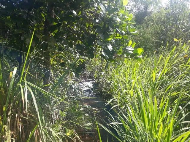 Fazenda de 580 hectares em Almas- Tocantins - Foto 5
