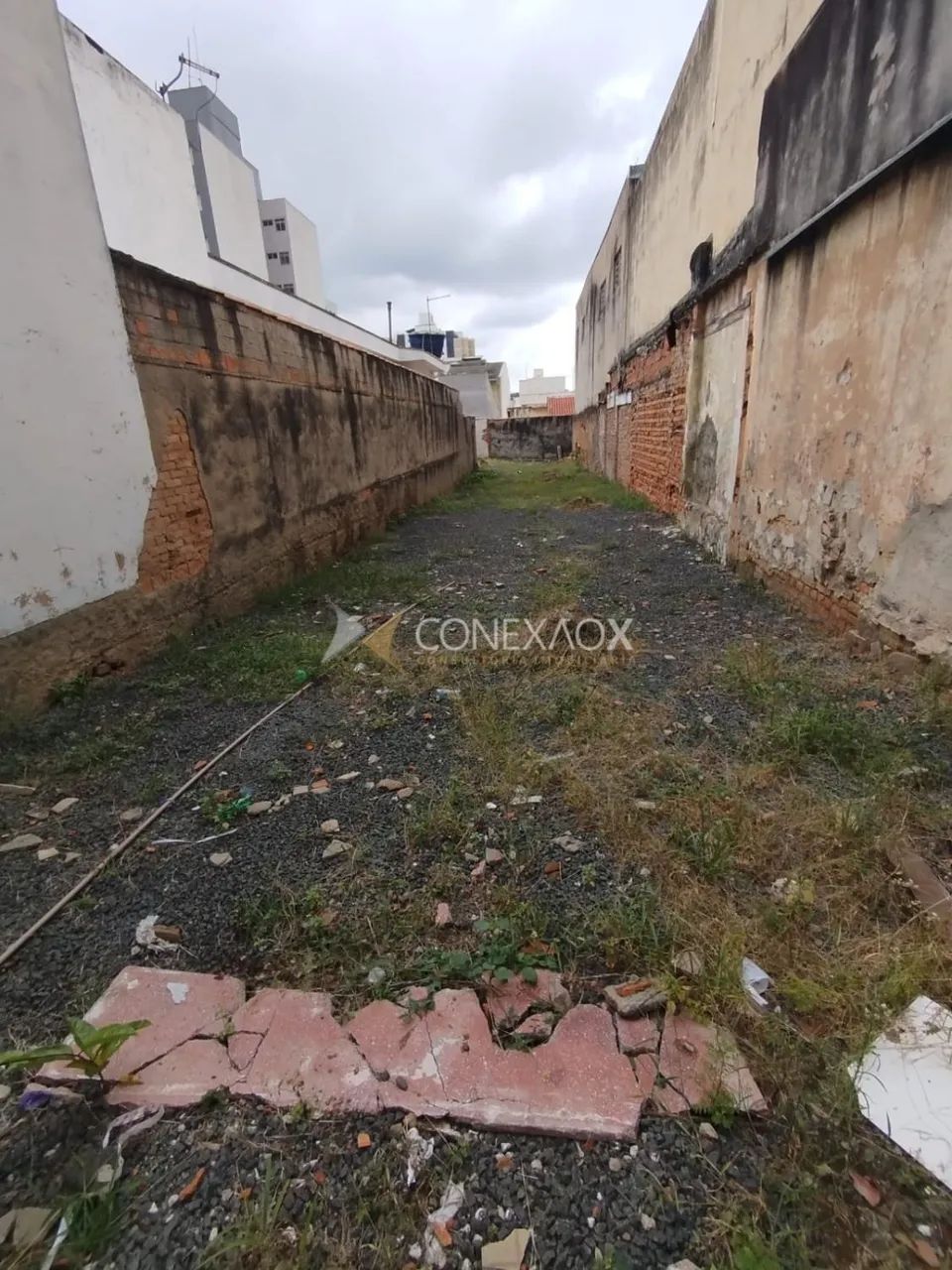 terreno - Bonfim - Campinas - Foto 2