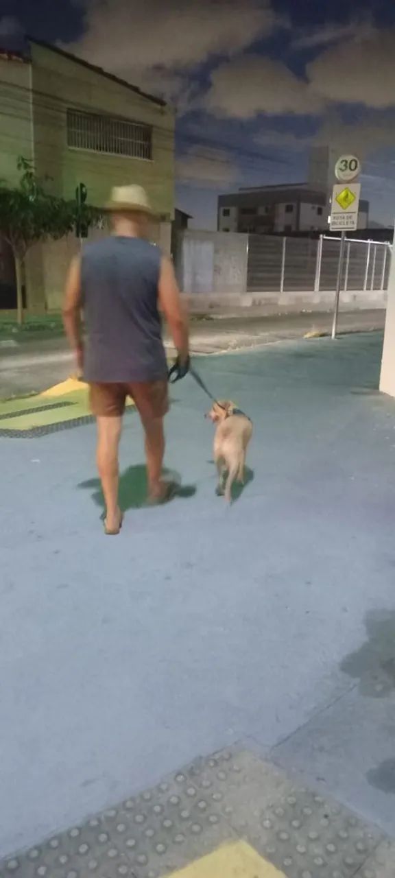 Cuidador de pet