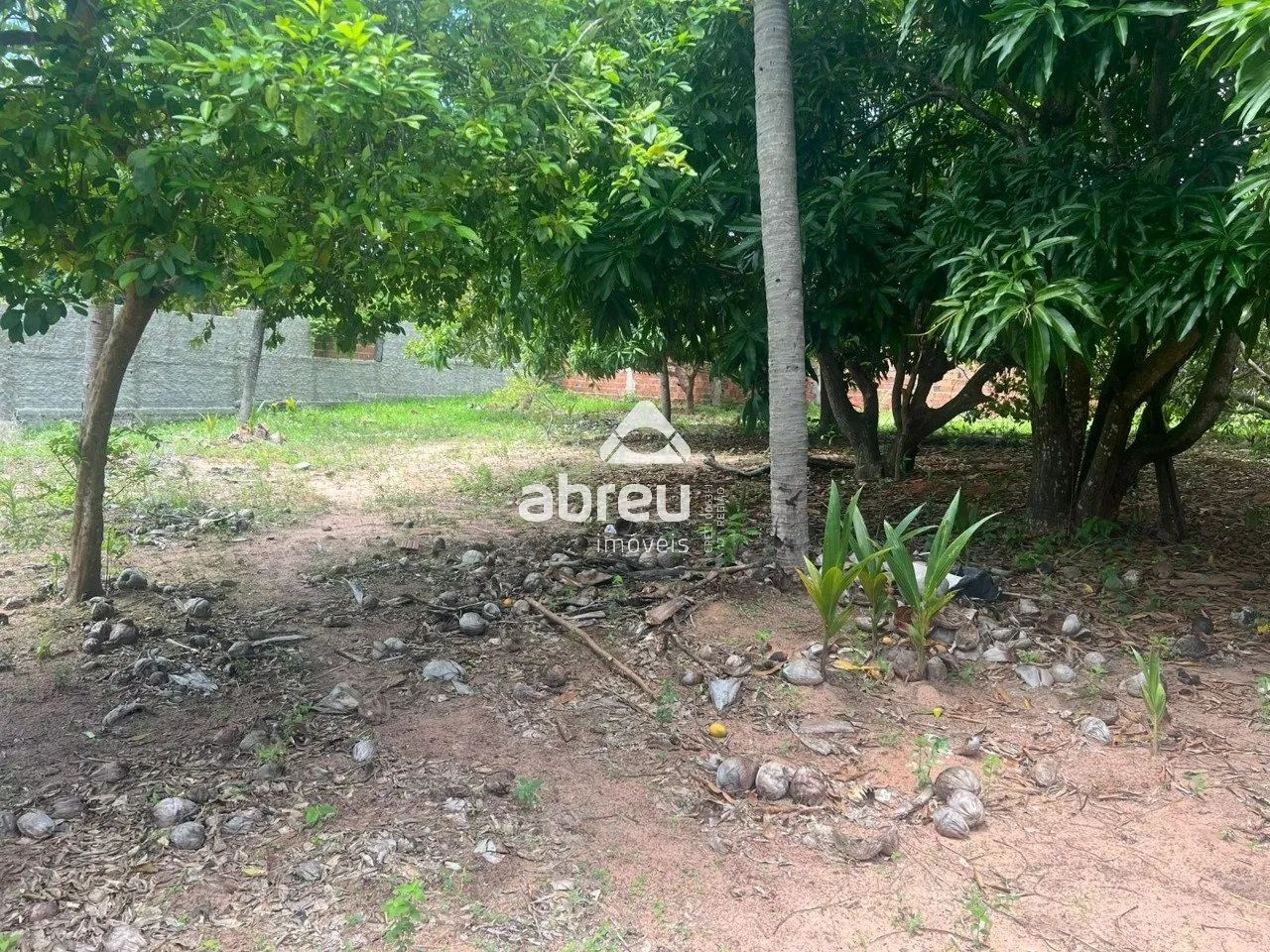 Terreno Padrão em Natal - Foto 4