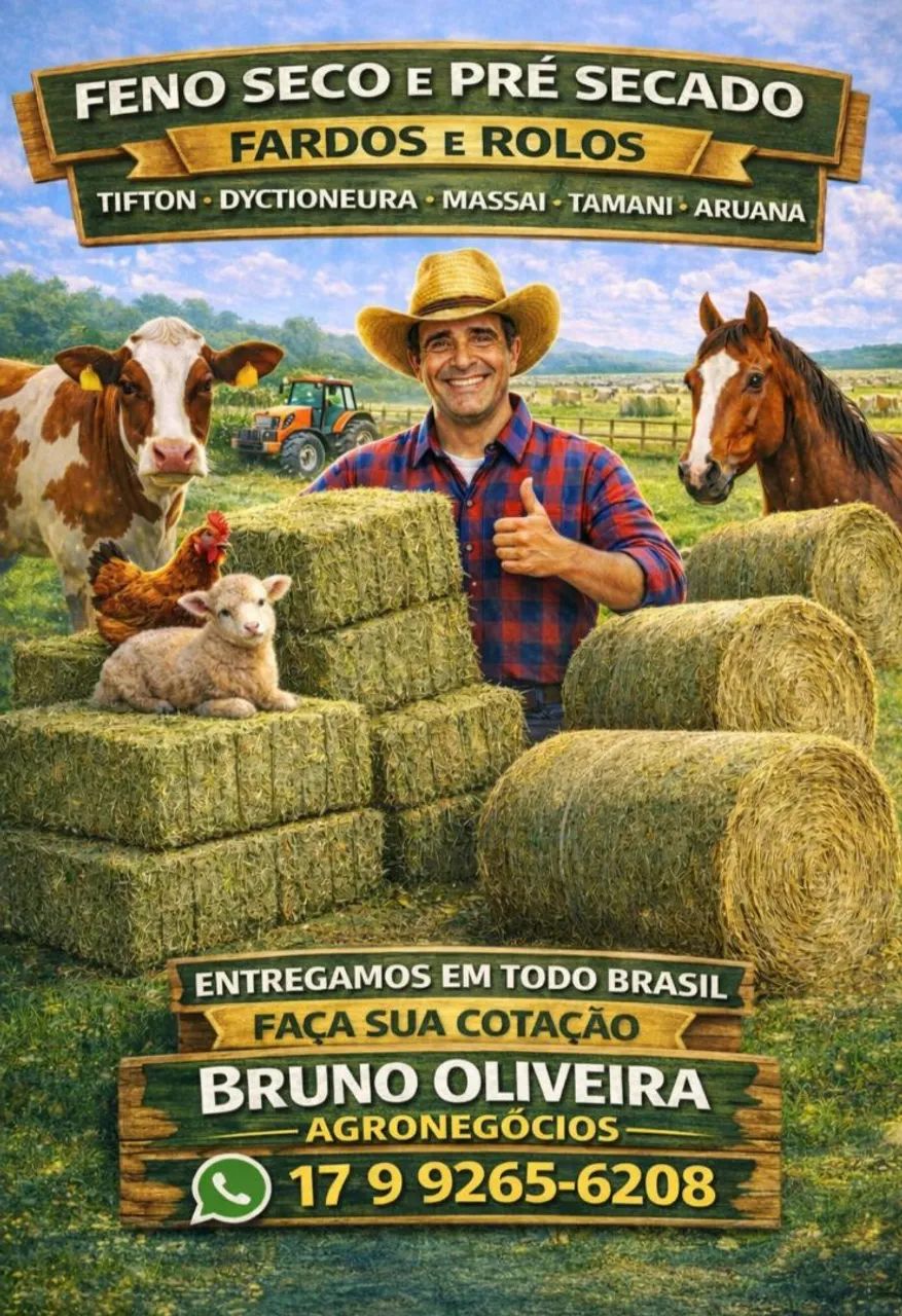 Feno Massai verde cavalo 85kg CARGA FECHADA  - Foto 2