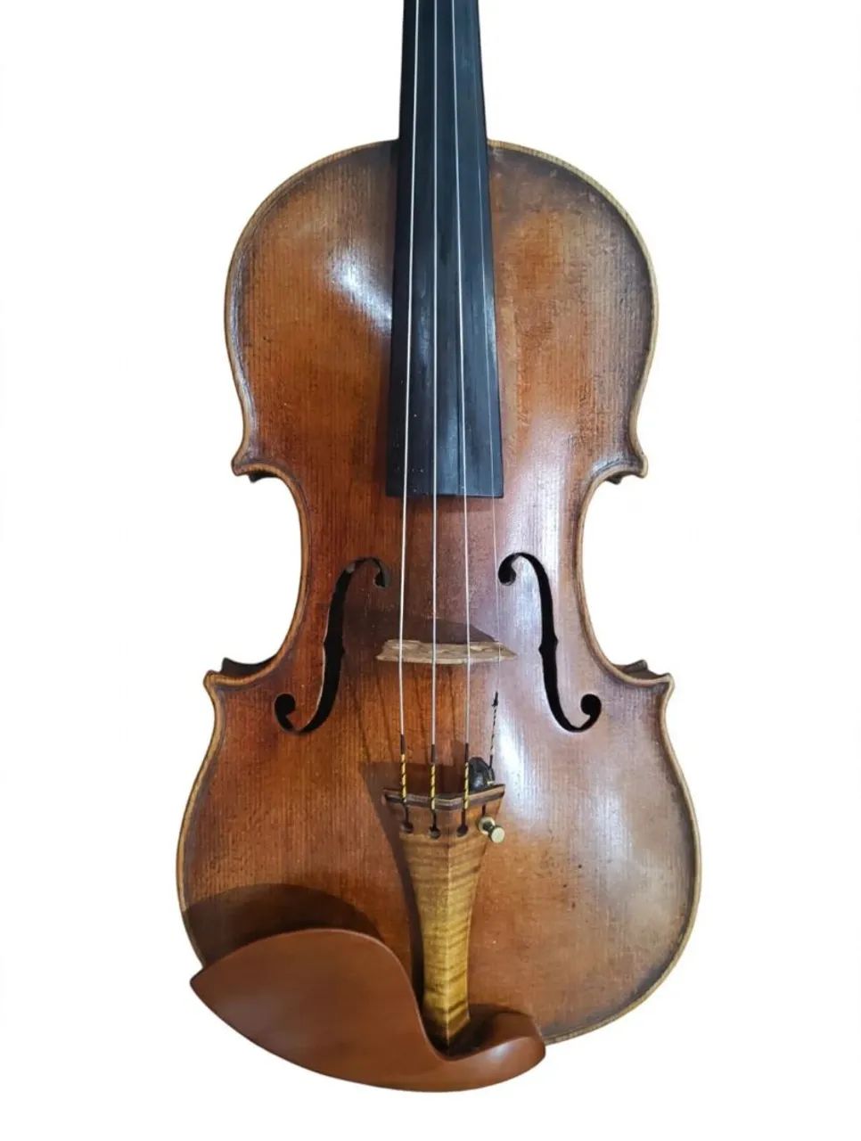 Violino