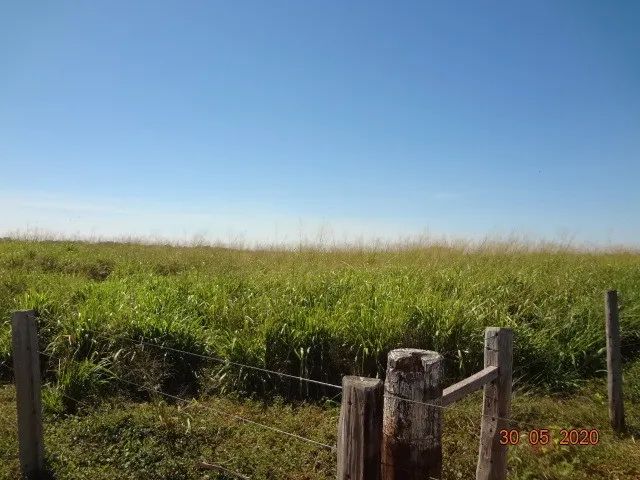 Sitio 55,00 hectares Região Várzea Grande - Foto 2