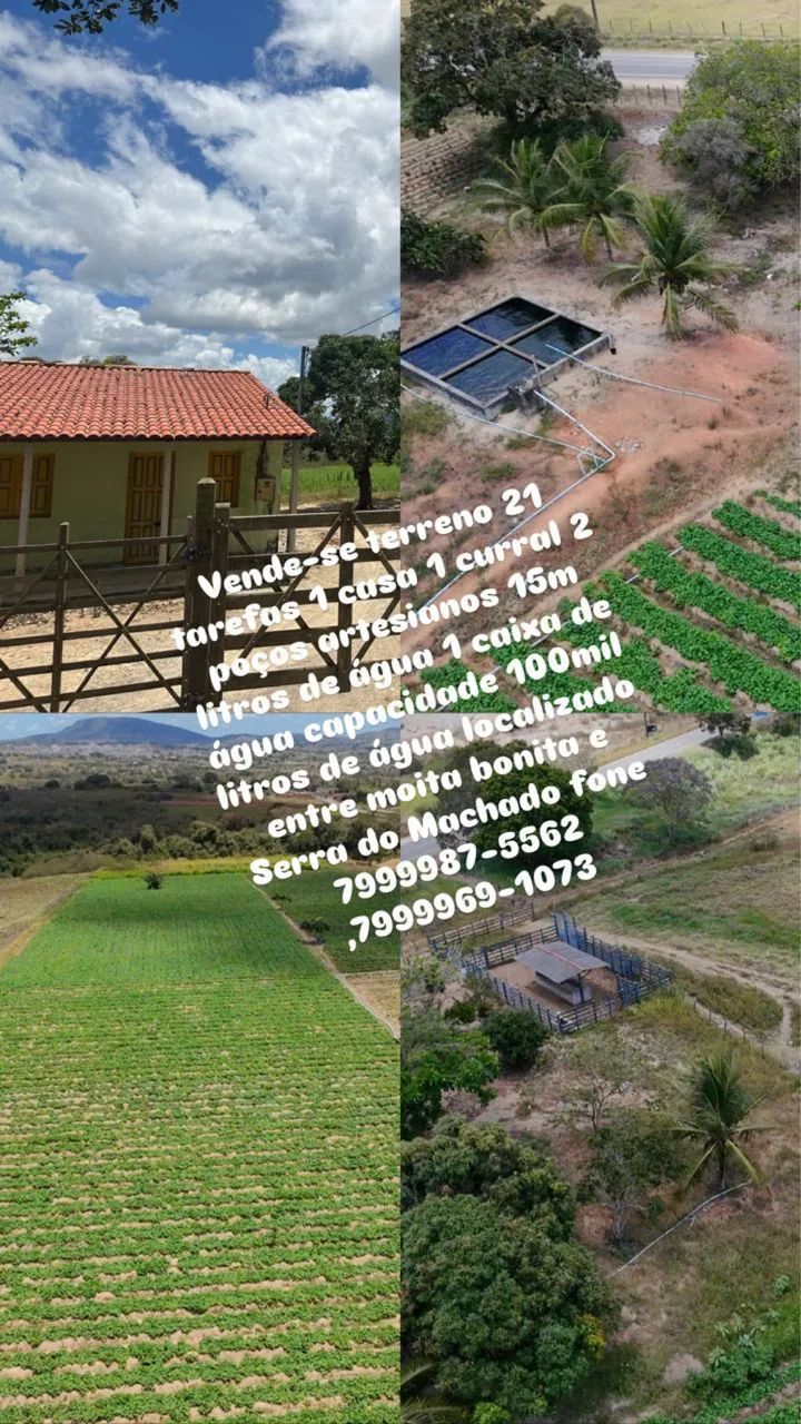 Terreno com 2 poços artesianos de 26 mil litros de água 