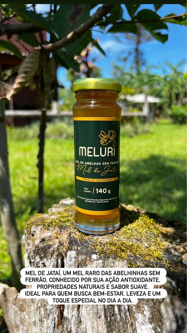 Kit de Mel de Jataí - Abelhas sem ferrão  - Foto 3