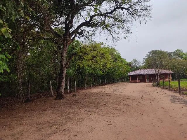 Vendo ou troco chácara (5.000m2) - 79079-090 - Foto 2