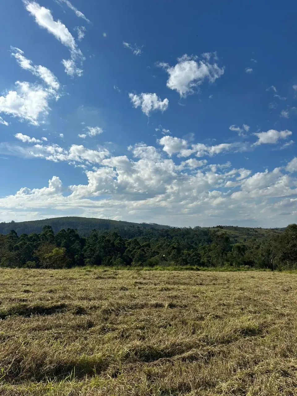 Invista em Mairinque | 1.000m² em Condomínio Fechado