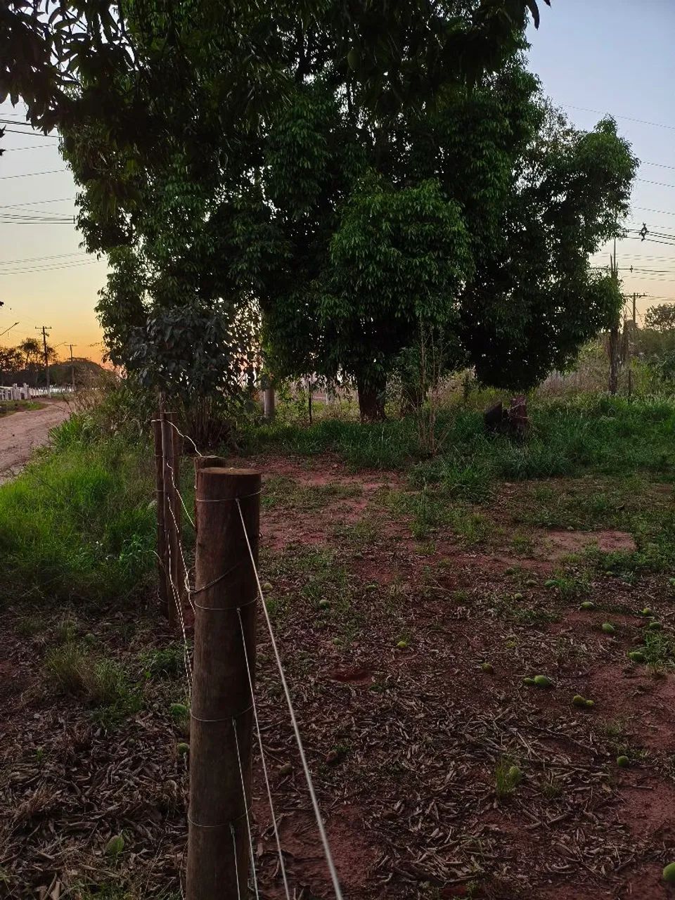 Ótima oportunidade em Bandeirantes  - Foto 3