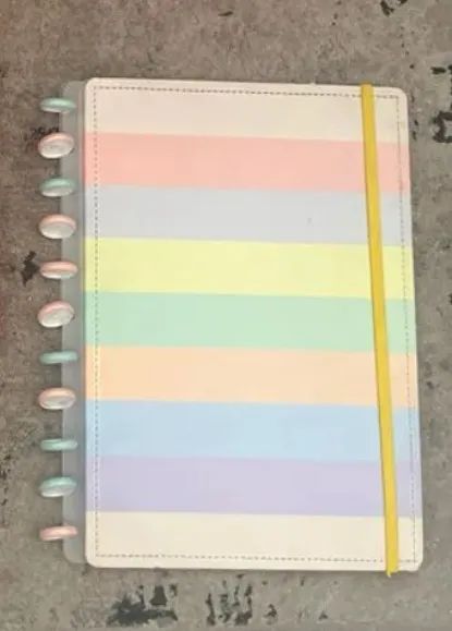Capa e contracapa + disco caderno inteligente original