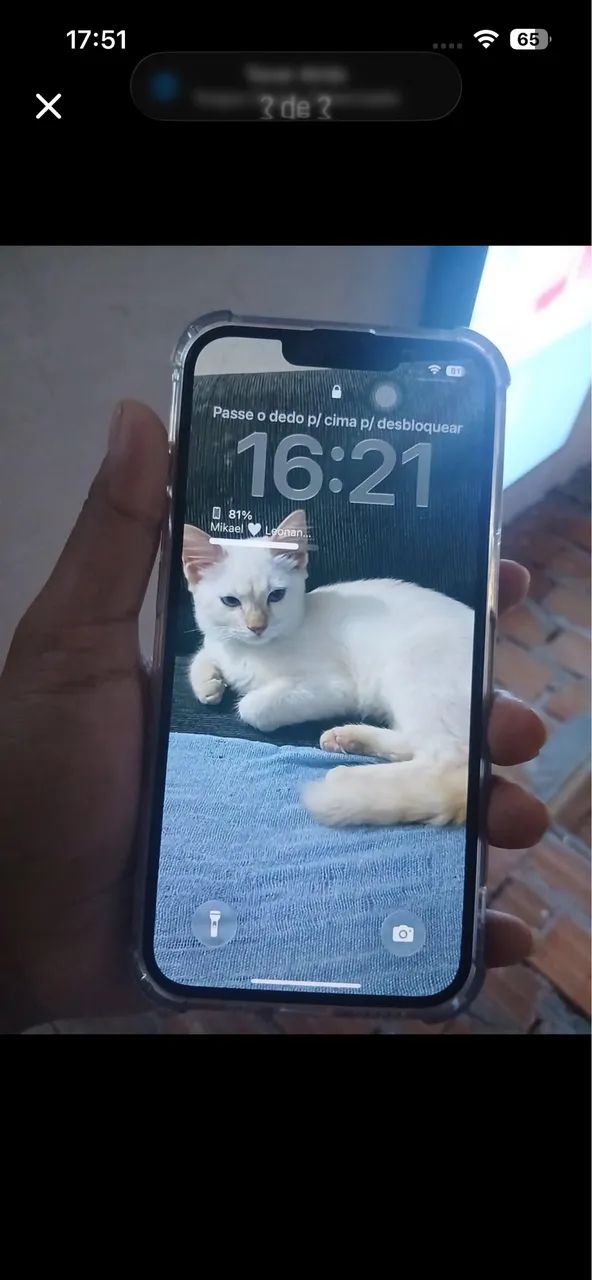 iPhone 13