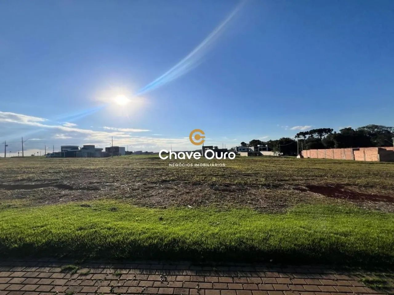 TERRENO NO TROPICAL