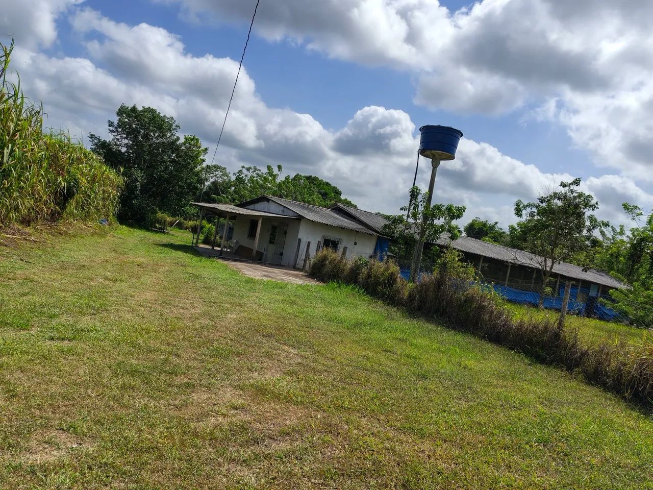 Vendo Sítio São Francisco, Vila 42, Curuçá Pará  - Foto 5
