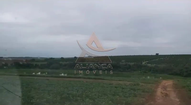 Fazenda - Casa Branca - Zona Rural - Foto 4