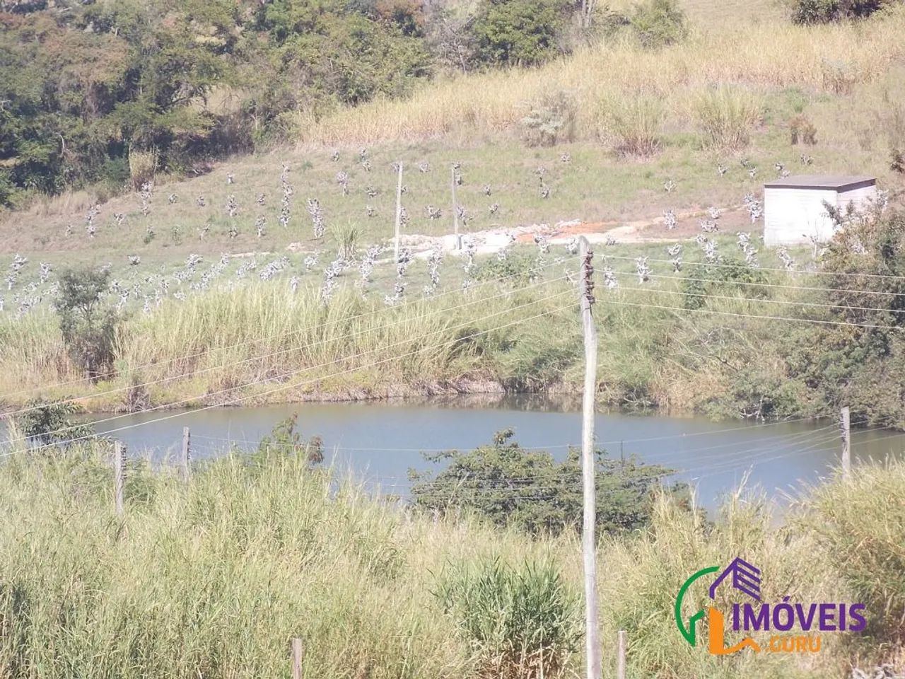 SÍTIO - MACUCO - SP - Foto 4