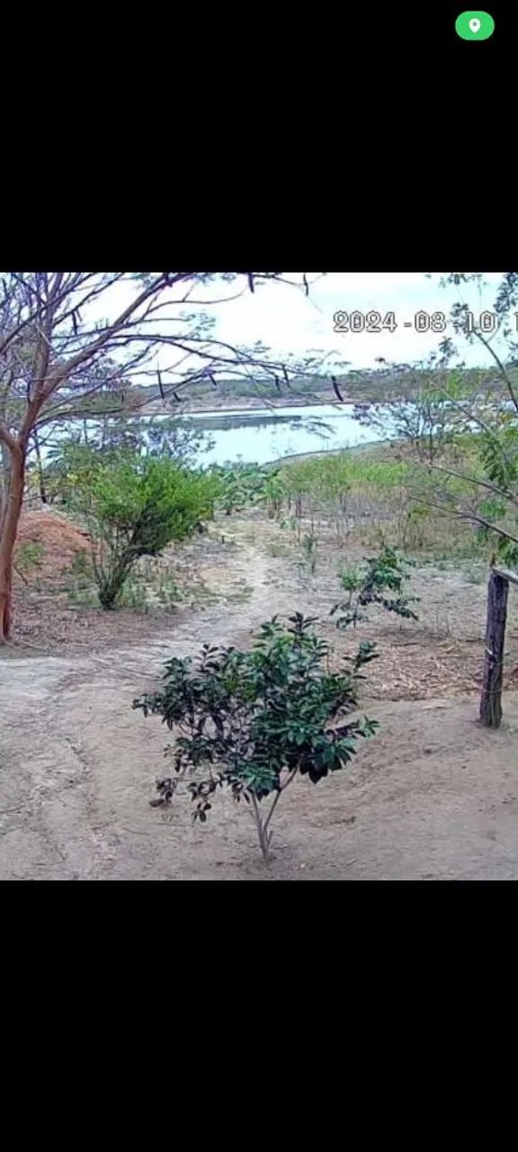 Chácara  - Foto 4