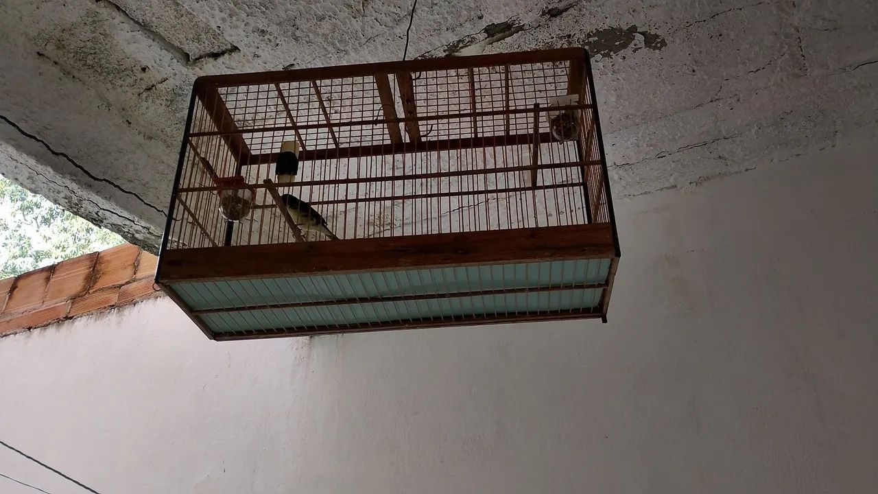 Gaiola 