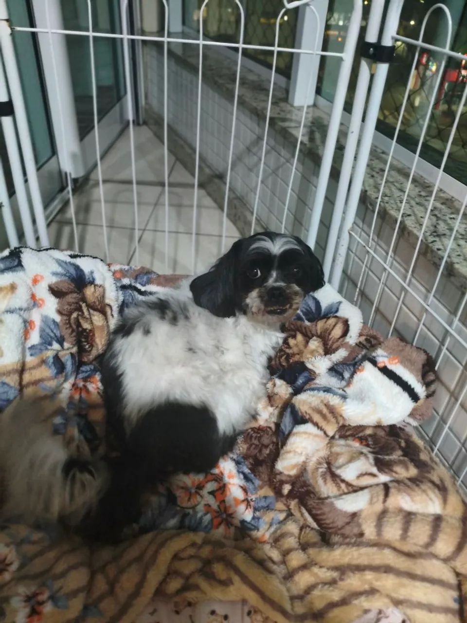 Doa-se/PAI E FILHO  - Foto 2