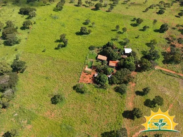 Sítio à venda Unaí-Mg - Foto 4