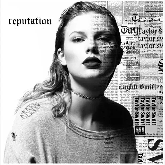 Vinil Taylor Swift Reputation Picture Disc